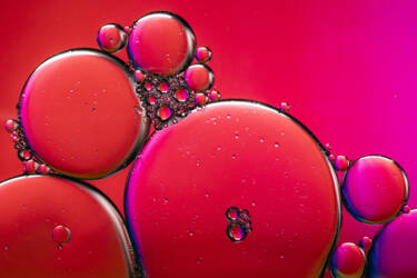 Ross Hoddinott | Nikon magazine